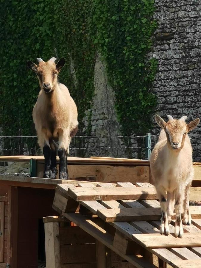 ChervettesAu Domaine De Gigie住宿加早餐旅馆 外观 照片